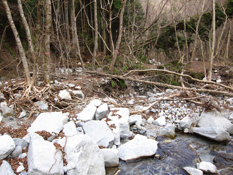 20200110hike (428)
